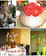 Gartenfachmarkt Richter Bild 7