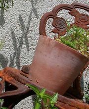 Rothenbühler Gartenbau AG Bild 13