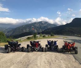 Gorilla Quad Parts