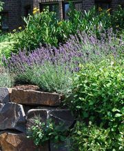 Beemelmans Garten- und Landschaftsbau Bild 3