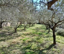 C.Provence paysage image 3