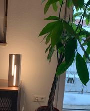 Infrarot Vertrieb - Infrarotheizungen & Licht Bild 13