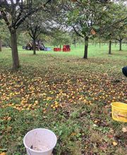 Cidrerie de Cozmezou image 6