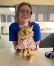 Shiloh Veterinary Hospital image 4