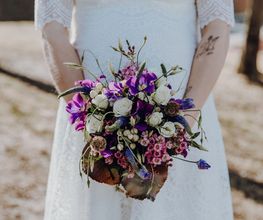 Blumen Anemone Bild 6