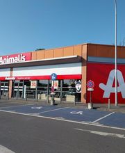 Animalis L'Isle Adam image 2