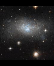 OPTIQUE CARLOTTI image 12