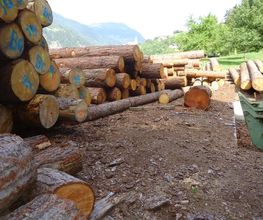 Projer AG Holzbauunternehmung Bild 2