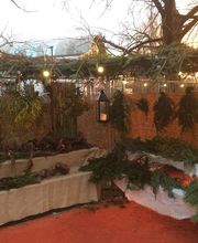 Zierreisig, Weihnachtsgrün, Abdeckreisig. Misteln, Nordmanntannenbündel, Ilex, Handbünde, Kiefernzweige, Efeu, Buchs, Rebstöcke, Wurzeln
