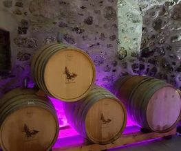 Badan Vins Bild 6