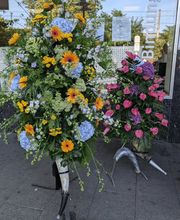 Blumenzauber Kaminski Bild 2