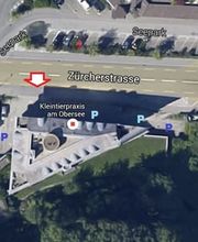 Kleintierpraxis am Obersee GmbH Bild 2