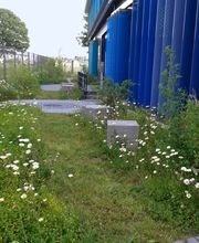 naturplan Landschaftsplanung Dipl.-Ing. S. Müllensiefen Bild 1