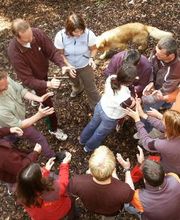 Altmühltaler Abenteuerpark Bild 4