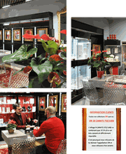 La Roche d'Or image 8