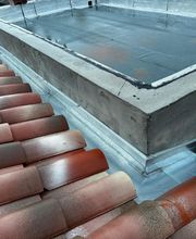 PBM Carvalho image 9