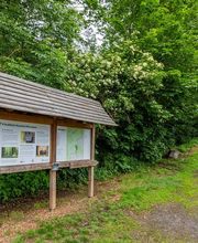 FriedWald Neuwied-Monrepos Bild 13