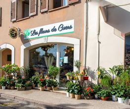 Les Fleurs de Cuers image 16