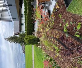 LUTZ Gartendesign GmbH Bild 13