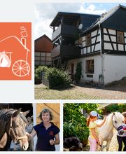 Pferd Spaß Entspannung - Anke Junghans Bild 1