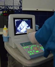 CLÍNICA VETERINÀRIA REUS imagen 2