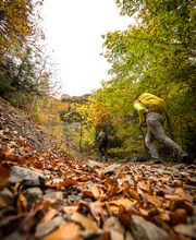 Pyrenees Travels imagen 7