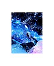 Del Puppo Josepha image 5