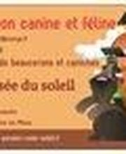 Pension De La Rosée Du Soleil image 15