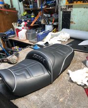 Sellerie Vigneulle image 17