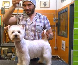 Gallery Cliente