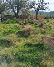 Dienstleistungsservice Kankel Bild 2