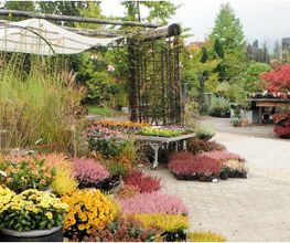 Müko Gartengestaltung AG Bild 6