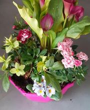 Audrey Fleurs image 2