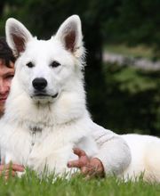 Campus Canin image 1