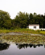 Bluebird Ocean Point Inn image 2