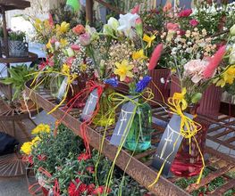 Blumen Candinas / Fluras Candinas Bild 9