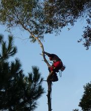 A Fleur d'Ecorce EURL image 11