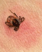 TopPharm Apotheke Aarberg AG Bild 2