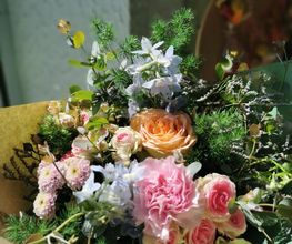 Floranthea SARL image 3