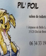 Pil Poil image 6