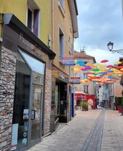 Pellegrin Brigitte image 1