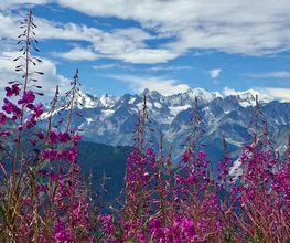 Verbier Language School Bild 2