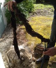 Quintard SARL image 13