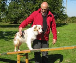 Dog Educ 45 image 9