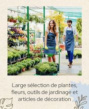 Garden Édelweiss Romont SA Bild 8