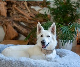 EasySoul GmbH Bild 4