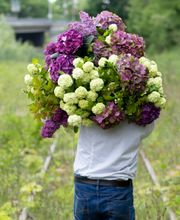 Guyard Benoît image 2