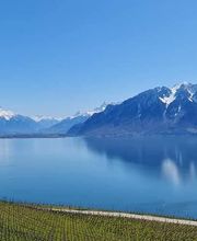 Domaine des Rueyres - Laurent Cossy Bild 11