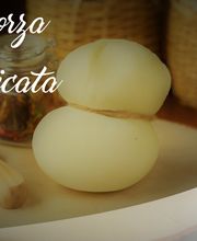 Gallery Professionale