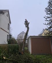 Baumdienst Herrmann Bild 3